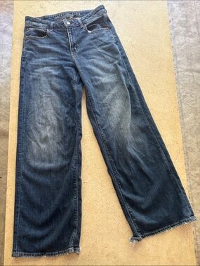 American Eagle Outfitters Low Rise Wide Leg Denim Jeans